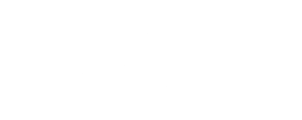 Annu Violin